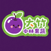 大竹中林果蔬