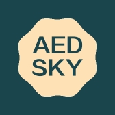 AEDSKY男鞋
