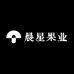 晨星果业