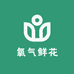 氧气鲜花Flora