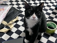 是小杨的杂货铺