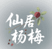 仙居杨梅妍儿农场