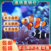 四五六水族店