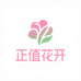 正值花开个体店