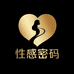 性感密码精选铺