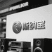 德国斯纳宝音响