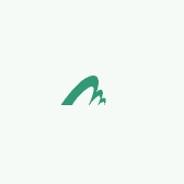 飞英壹号供应链