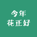 今年花正好
