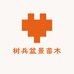树兵盆景苗木