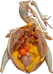 NB老王潮牌