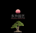 东升园艺壹号