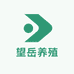 望岳养殖