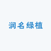 润名绿植