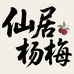 仙居东魁杨梅阁