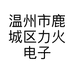 温州市鹿城区力火电子商务商行的小店