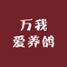 万我爱养鸽