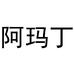 阿玛丁鑫莱奇智能设备专卖店