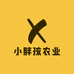 小胖孩农业