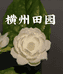 横州田园