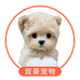 双豪宠物