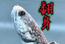棒棒哥雷龙