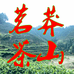 莽山茗茶