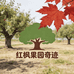 红枫果园奇迹