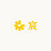 小阳来拆包了