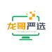 龙哥严选数码店
