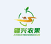 疆兴农果次日达