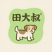 田大叔中华田园犬