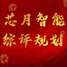 芯月智能综评规划