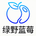 绿野蓝莓铺