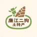 廉江二狗土特产
