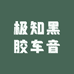 极知黑胶车音