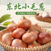 东北绿色蔬菜