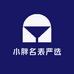 小胖名表严选