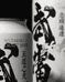 武当功夫青峰酒业