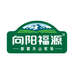 向阳福源