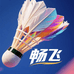 畅飞羽毛球