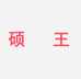 硕王优选