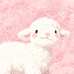 Evenisle晚屿