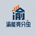 渝能亮分虫专业店