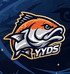 游鱼得水YYDS