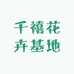 千禧花卉基地