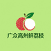 广众果蔬专业合作社