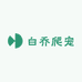 白乔爬宠