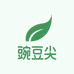 豌豆尖批发商用家用