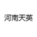 河南天英