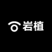 岩植卷柏基地